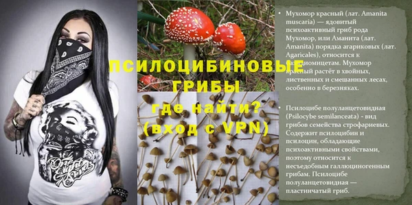 круглые Алексин