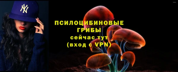mdpv Покачи