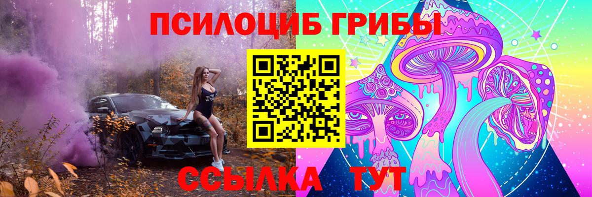 Псилоцибиновые грибы GOLDEN TEACHER Североуральск