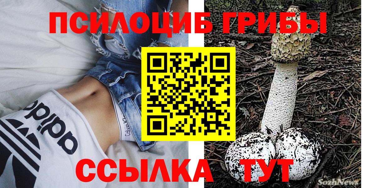 Псилоцибиновые грибы MAGIC MUSHROOMS  Псилоцибиновые грибы Psilocybe  Вход с VPN  Североуральск 